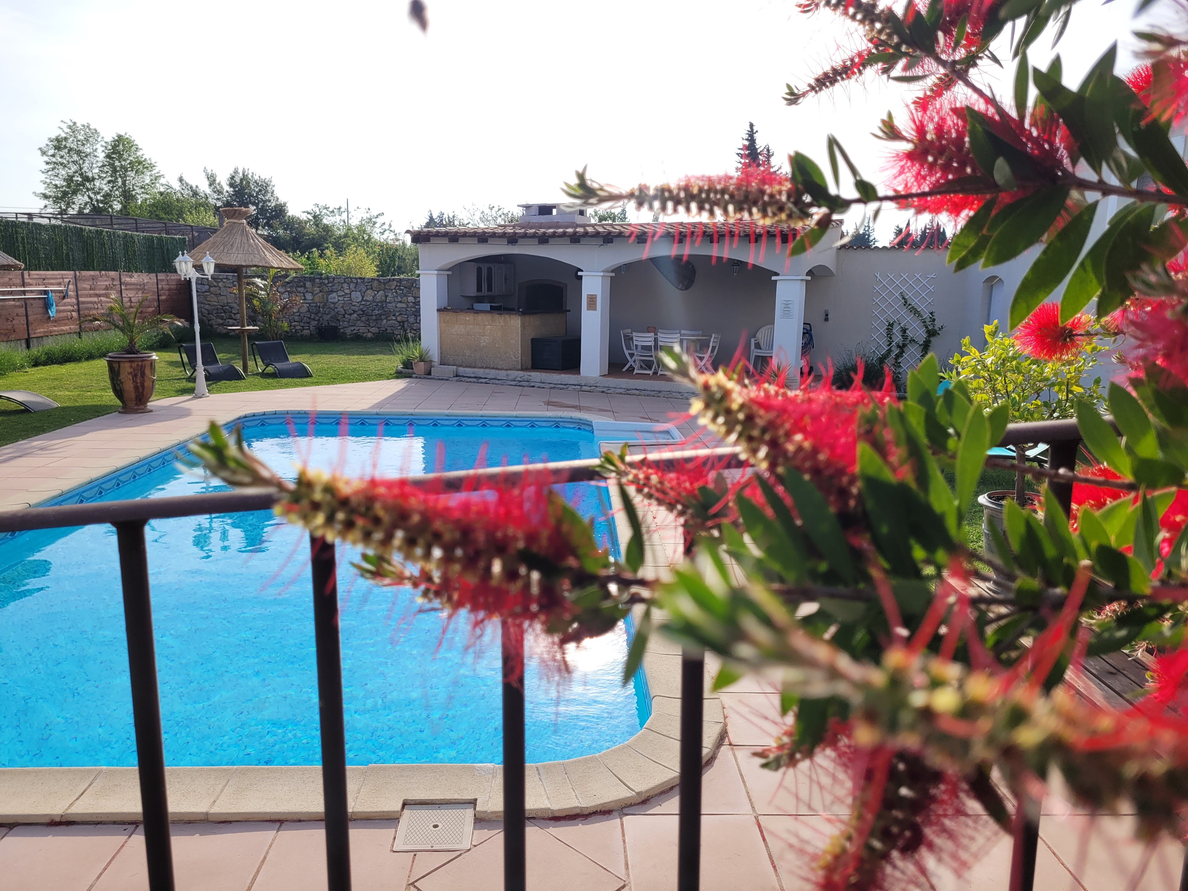 pool view
