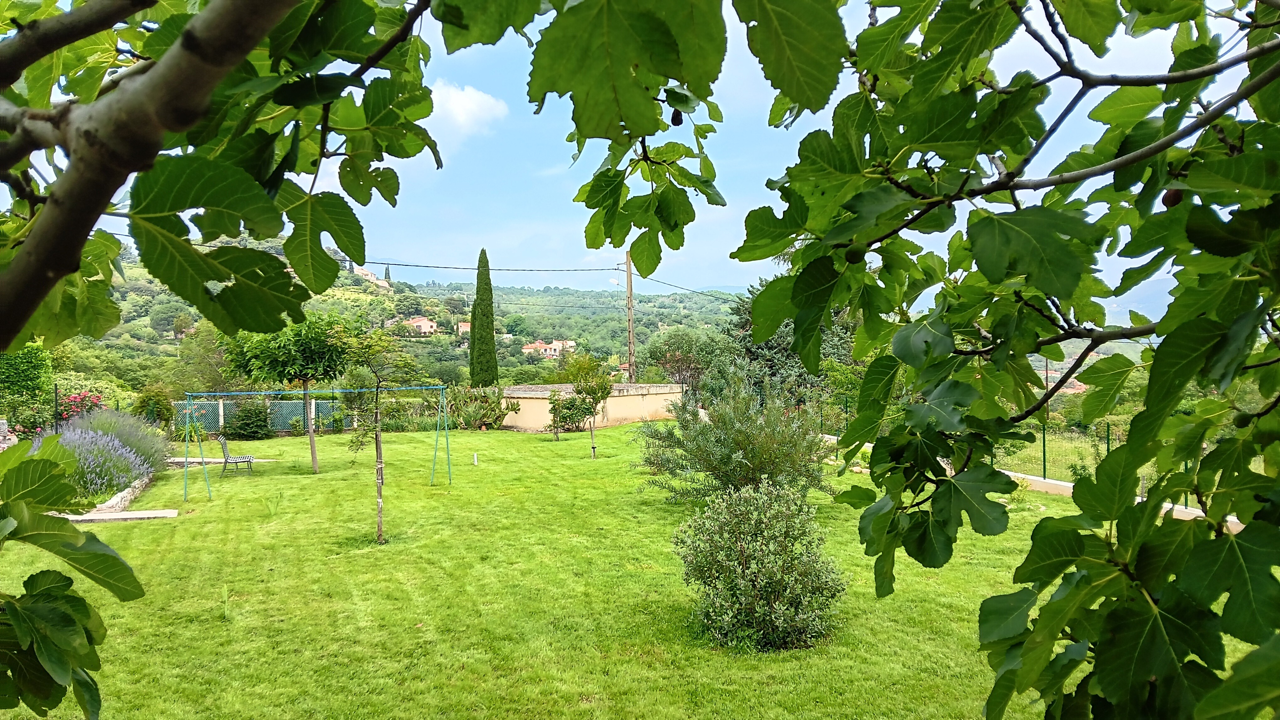Jardin 3