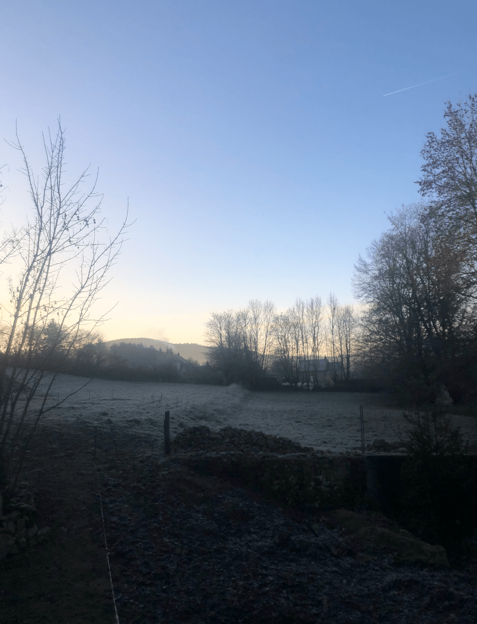 Petit matin d'hiver