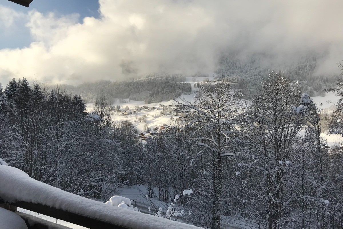 Vue d'une des terrasses.