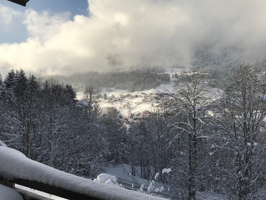 Vue d'une des terrasses.