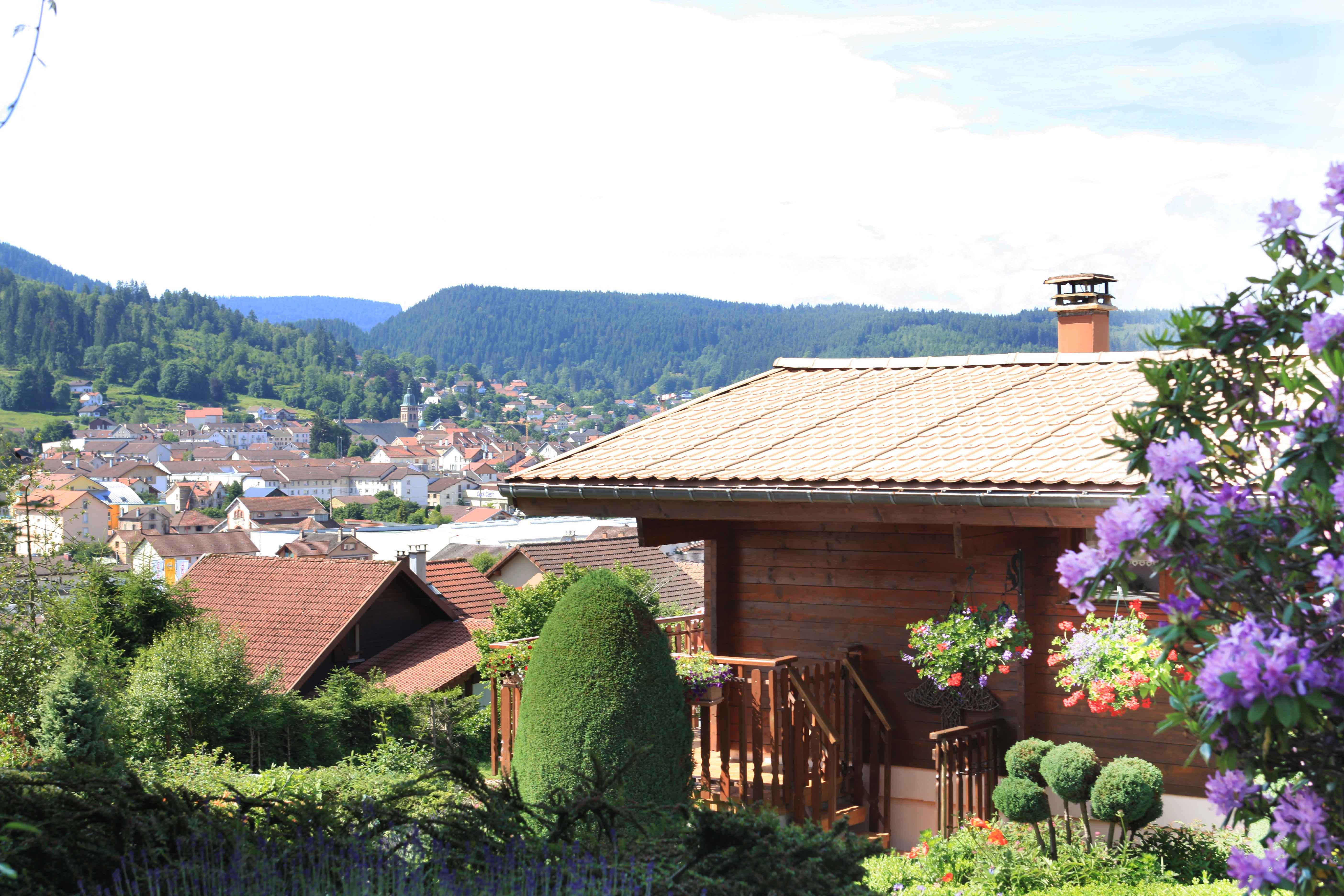 Vue depuis le chalet - Chalet Nid Douillet