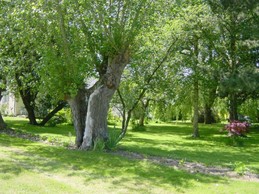 Image n° 3 de la location