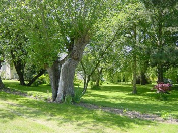 Photo n° 3 de la location