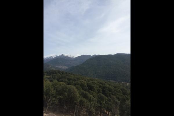 Photo n° 5 of the location