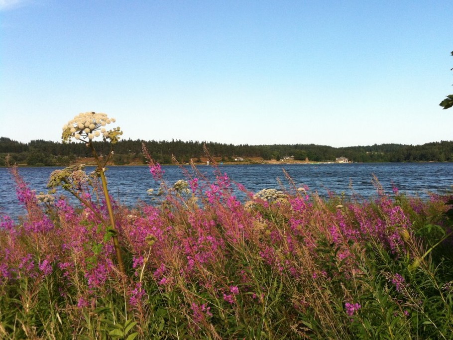 Le lac de Saint Front, à quelques minutes de Moudeyres