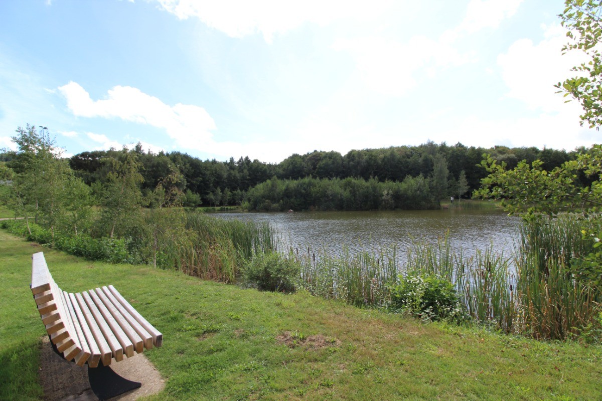 Plan d'eau à quelques pas - Cabane L'Ecrin à Xertigny