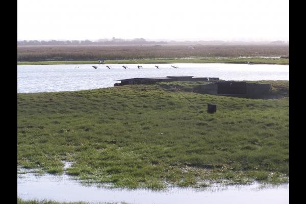 huts in the Bay of the Somme