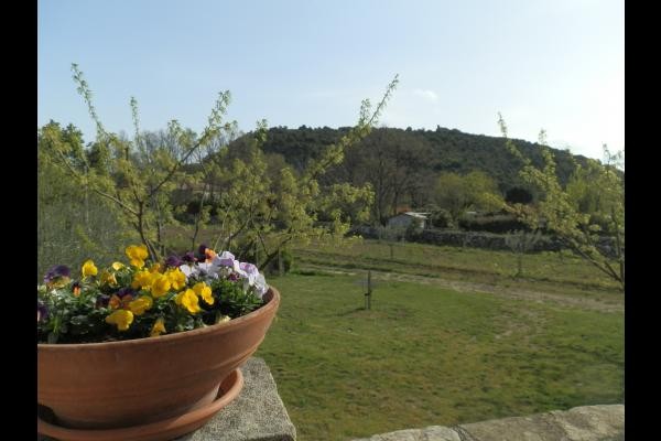 vue de la terrasse