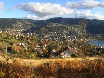 When the Vosges turn golden... Discover the Vosges in autumn. View of the gîte from the edge of the forest!