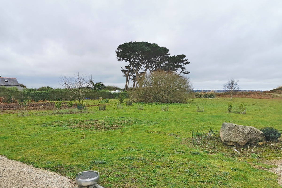 Très grand jardin, en cours d'aménagement à seulement 15m de la plage