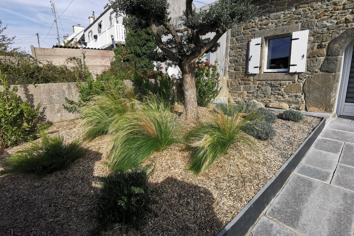 Jardin