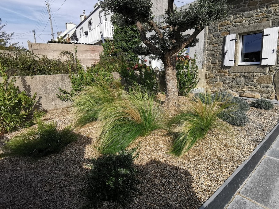 Jardin