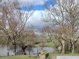 Les Chalets de l'Etang de Farges, Saint Germain près Herment, Puy de Dôme, Auvergne