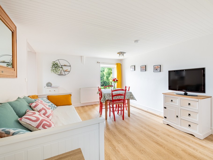 Pièce de vie avec coin salon et TV (banquette convertible en lit confortable 2 personnes 160 x 200 cm) et coin séjour