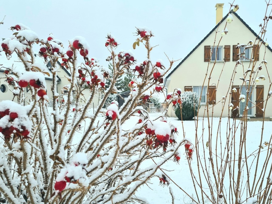 Maison en hiver