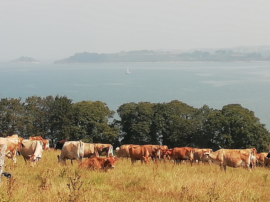 Photo n° 19 de la location