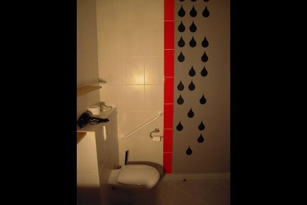 toilette adaptée