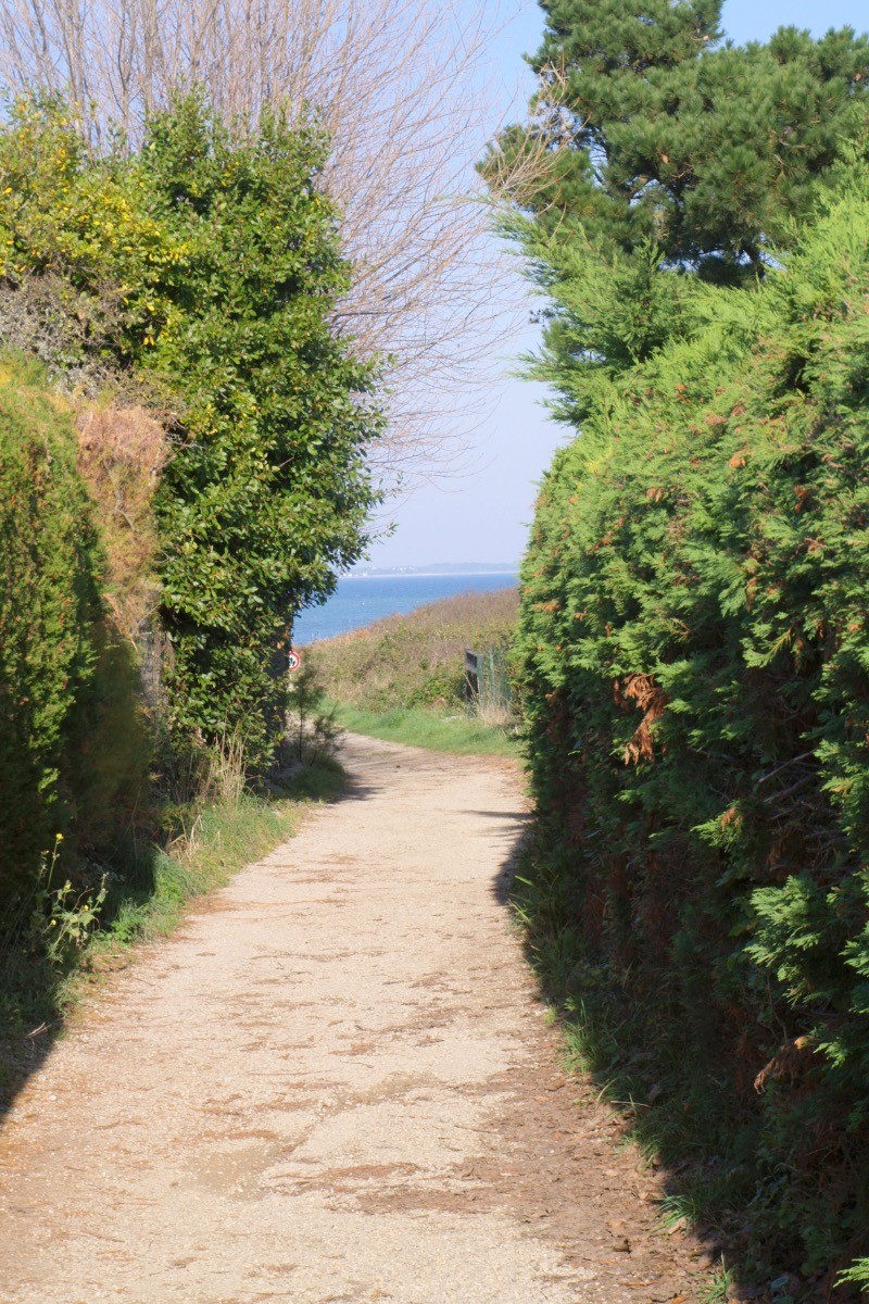 Petit chemin qui mène à la plage