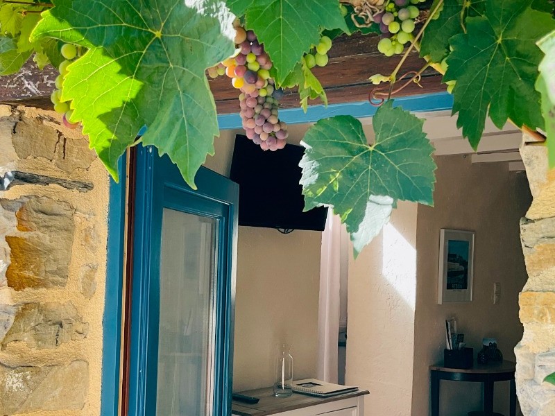Entrée du gîte sous une vigne grimpante.