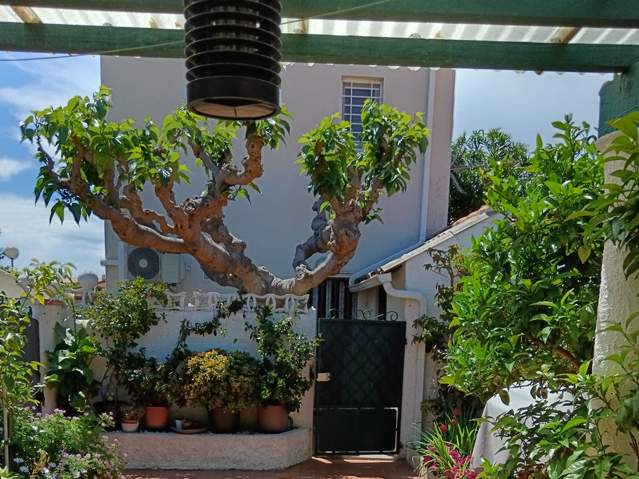 Photo n° 5 de la location