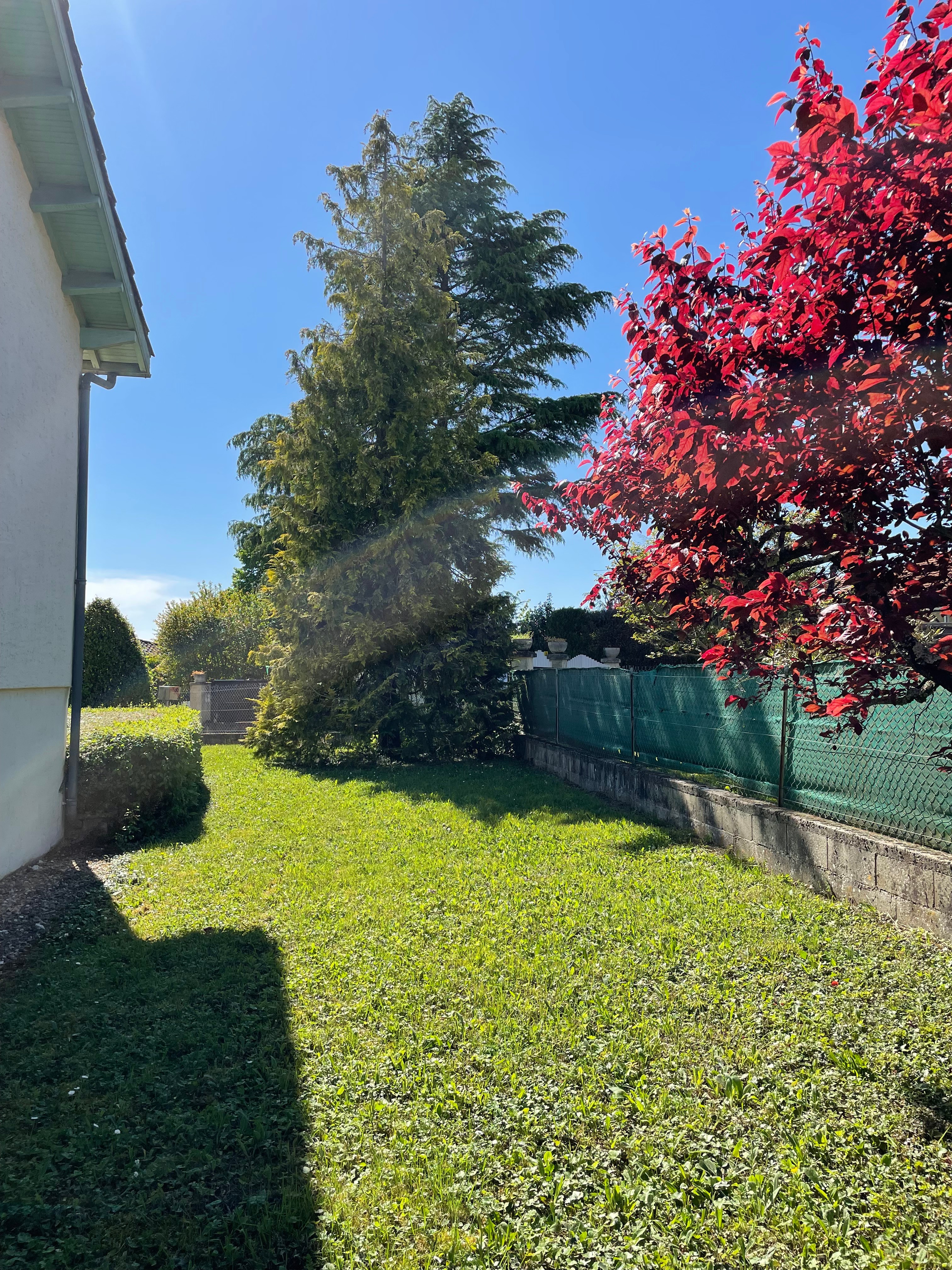 Photo n° 7 of the location