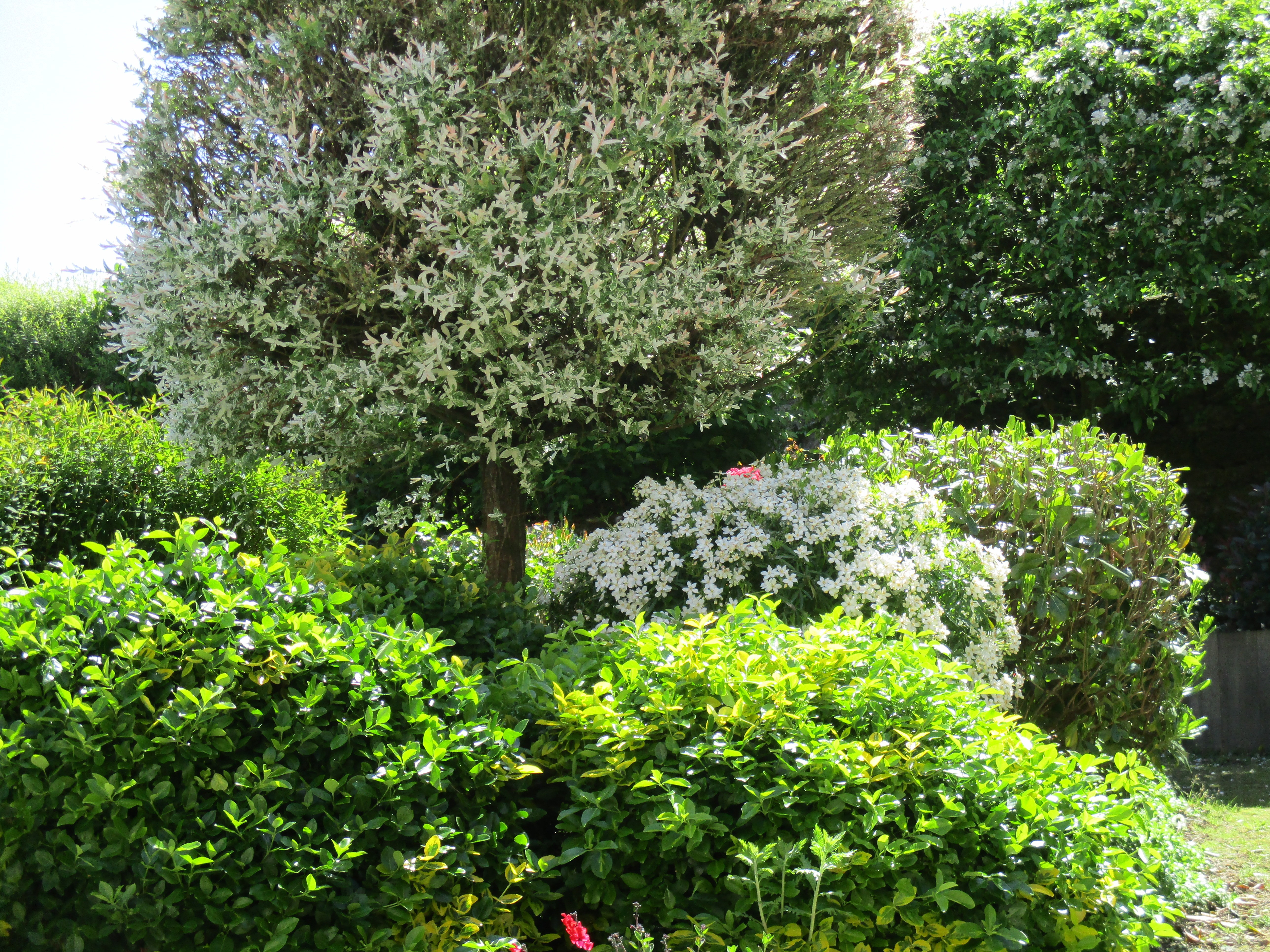 Photo n° 14 of the location