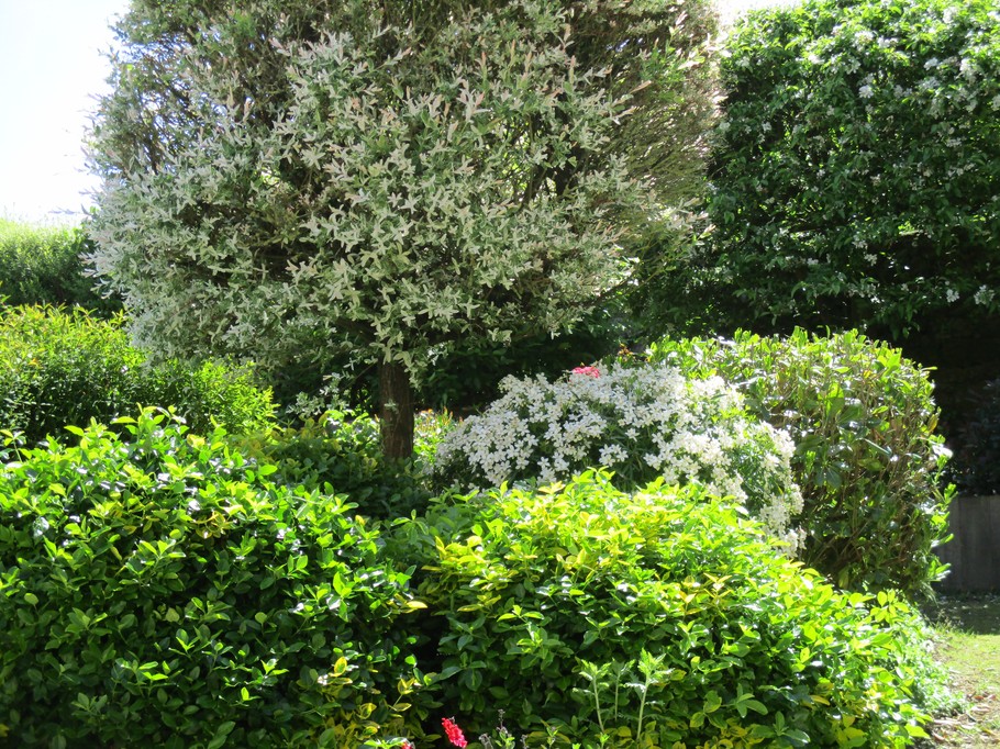 Photo n° 14 of the location