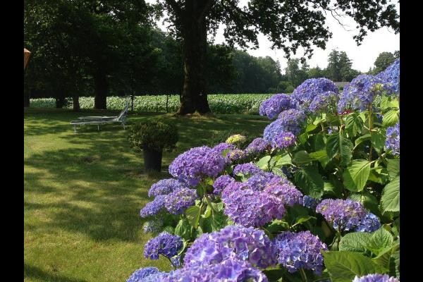 Photo n° 8 of the location