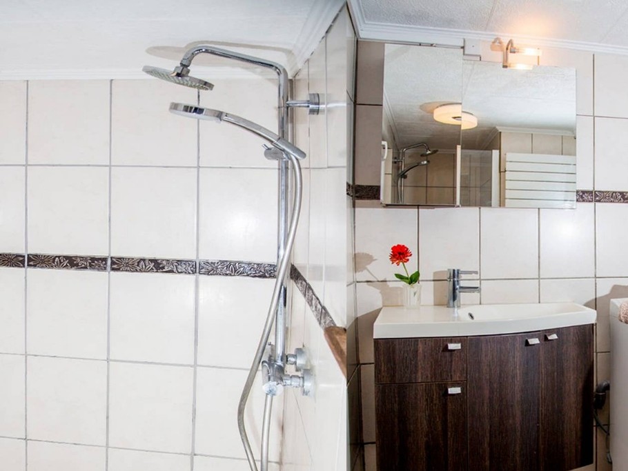 Une salle d'eau avec douche à l'italienne.