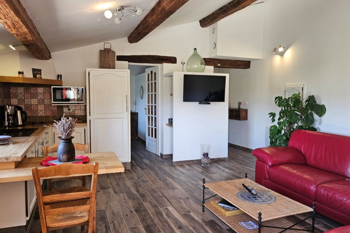 Séjour avec coin cuisine, Gîte le Larès, Domaine la Melette
