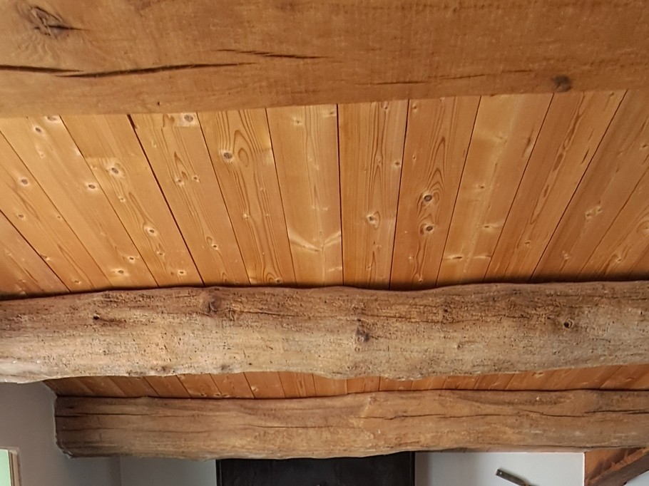 Traditional fireplace with insert