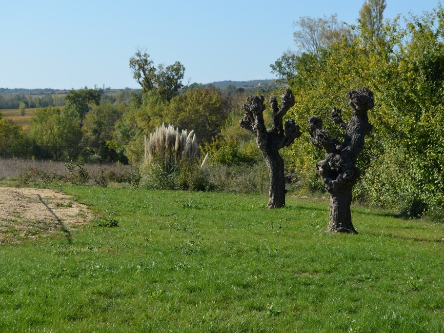 Photo n° 13 of the location