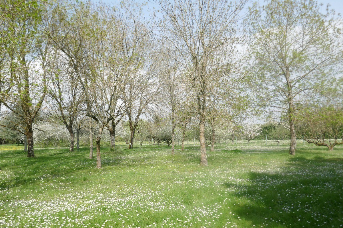 Le parc de la propriété