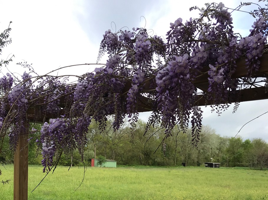 Photo n° 17 de la location