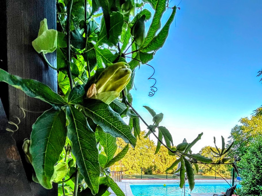 Photo n° 1 de la location