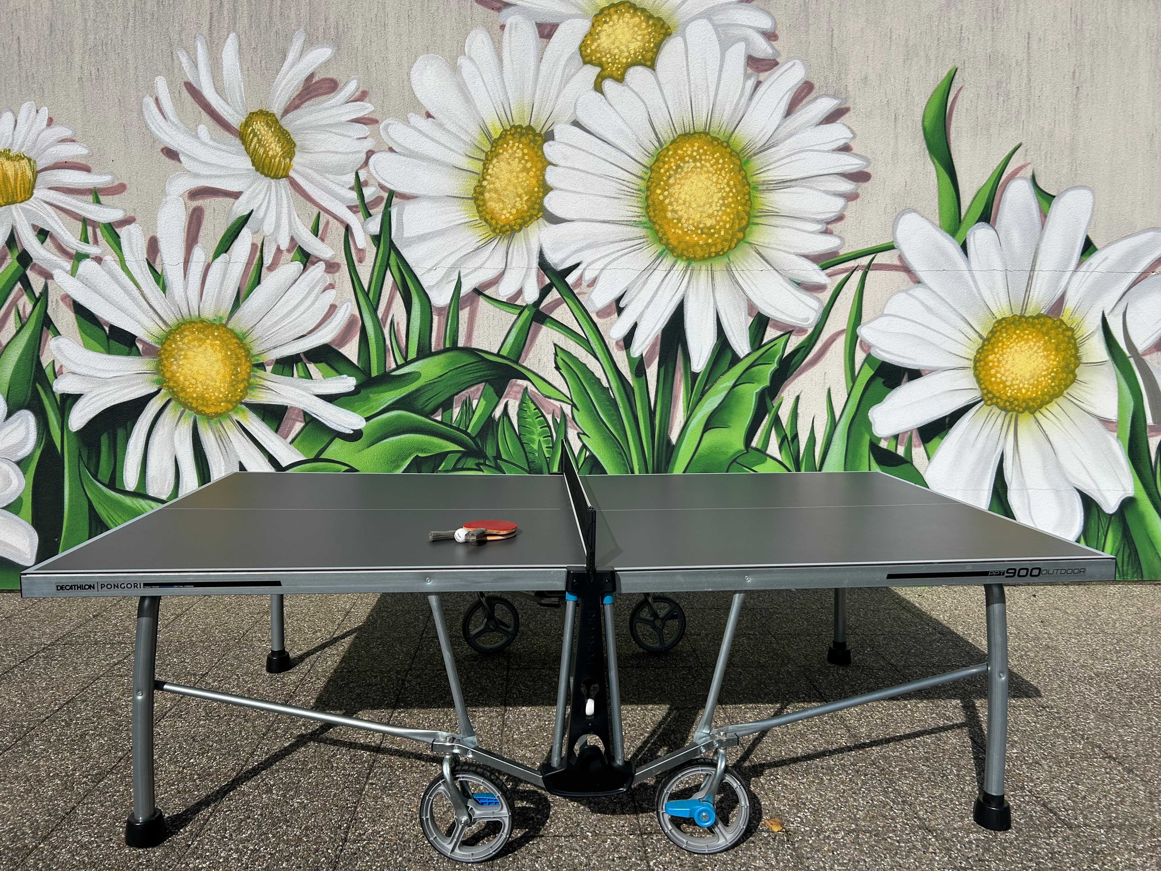 Table de ping-pong à disposition - Appartement les Marguerites - Contrexéville, Vosges