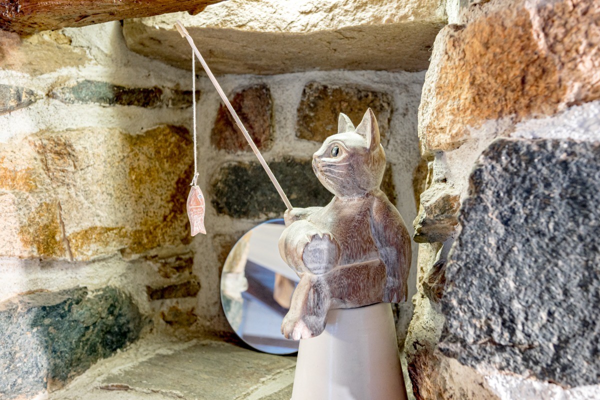 VIA Location de vacances , Clévacances: petite niche le chat pêche