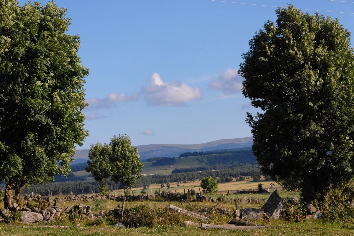Photo n° 12 of the location