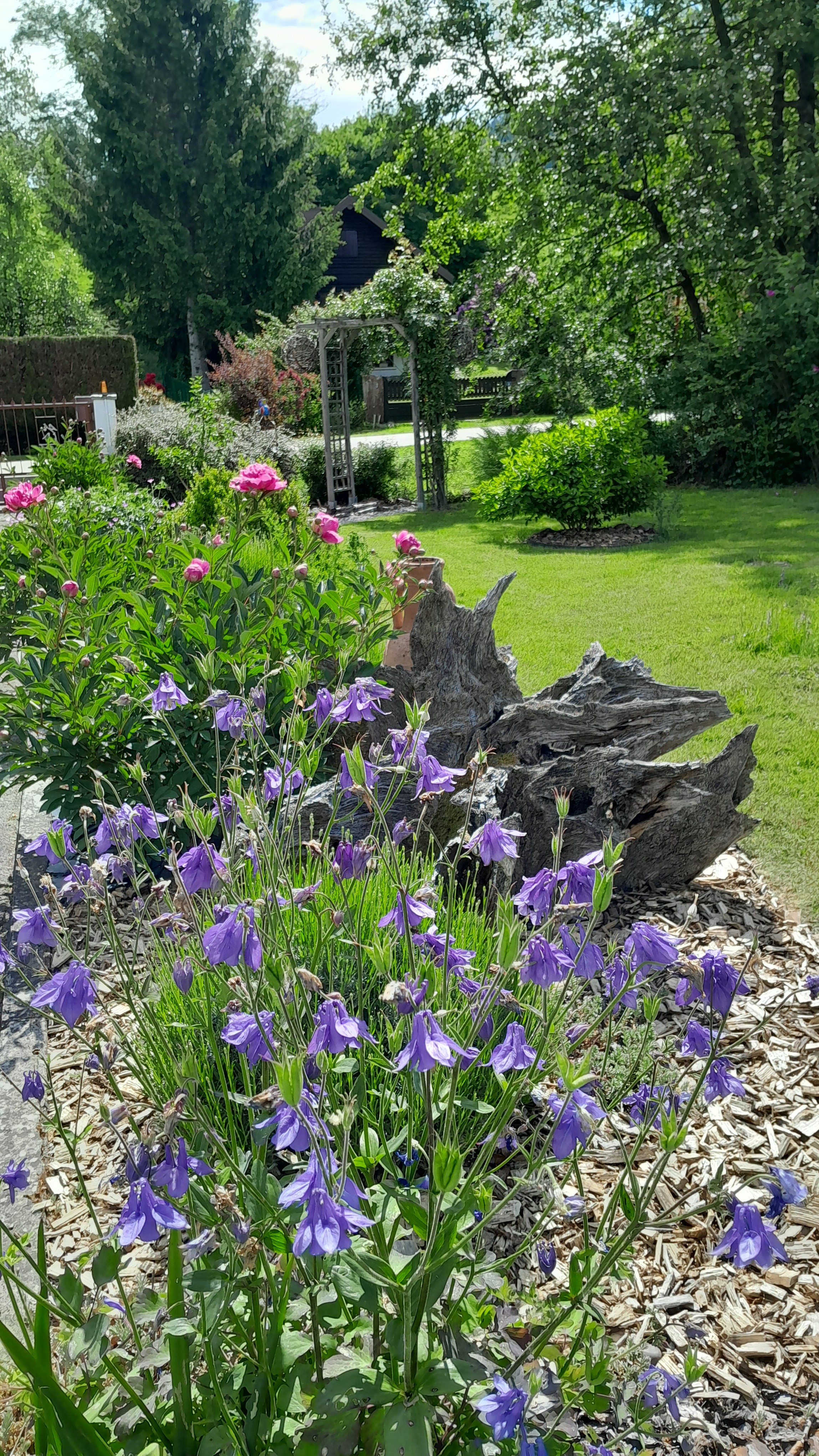 Printemps au jardin - Le P'tit Nid sous le Chêne