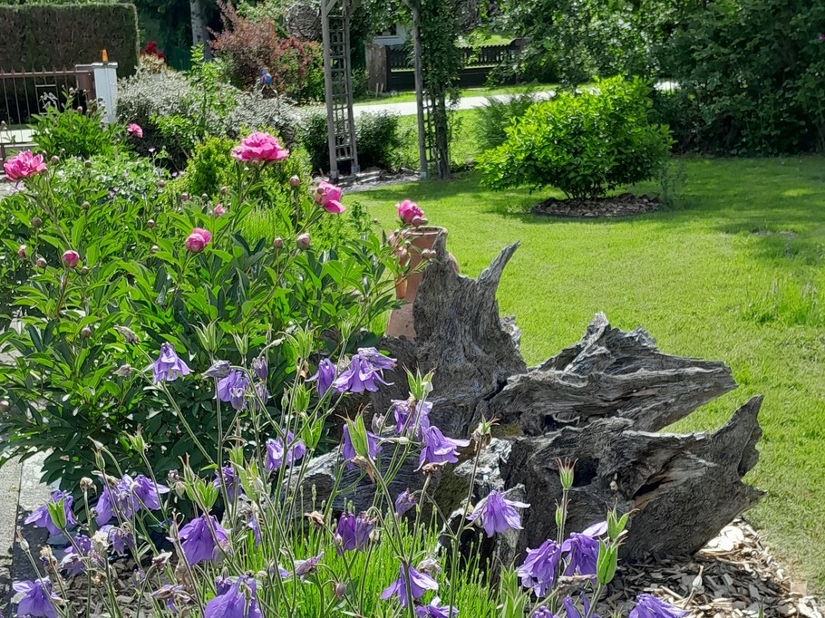 Printemps au jardin - Le P'tit Nid sous le Chêne