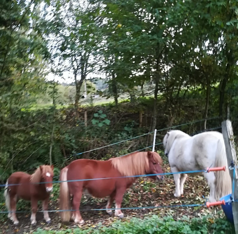 Photo n° 12 de la location