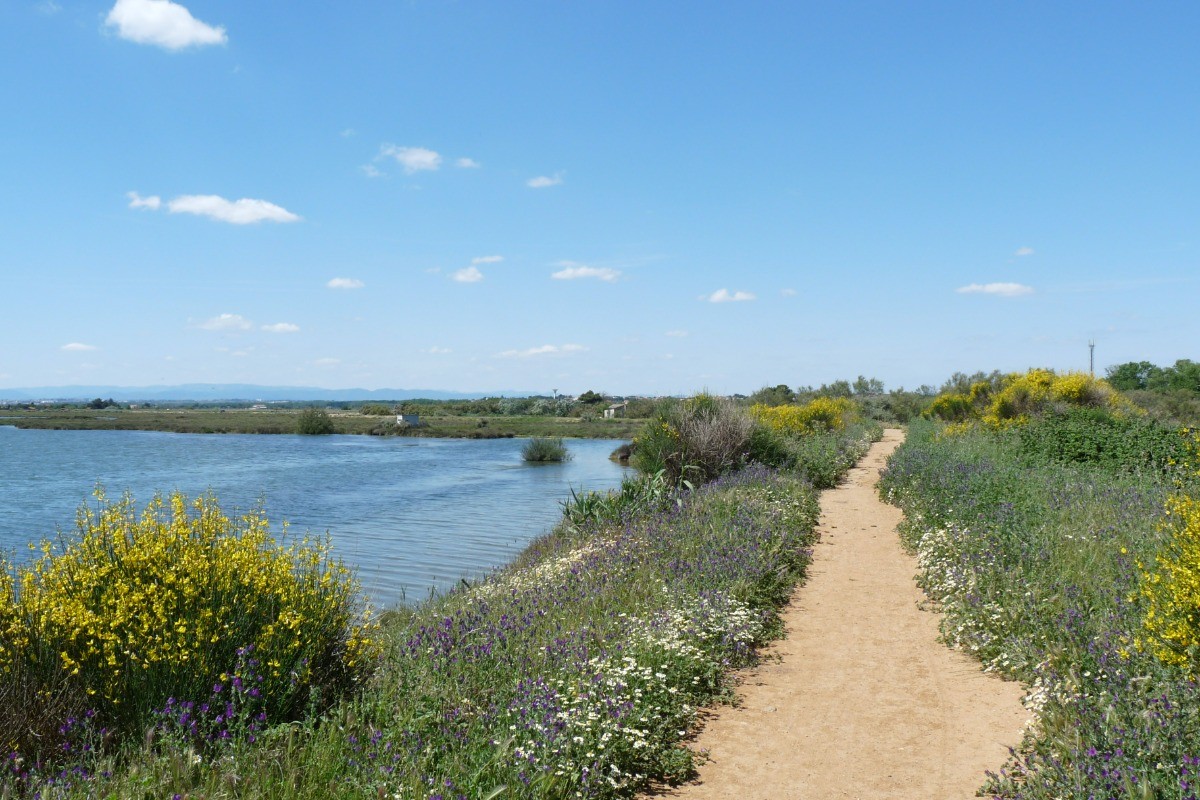 Photo n° 17 of the location