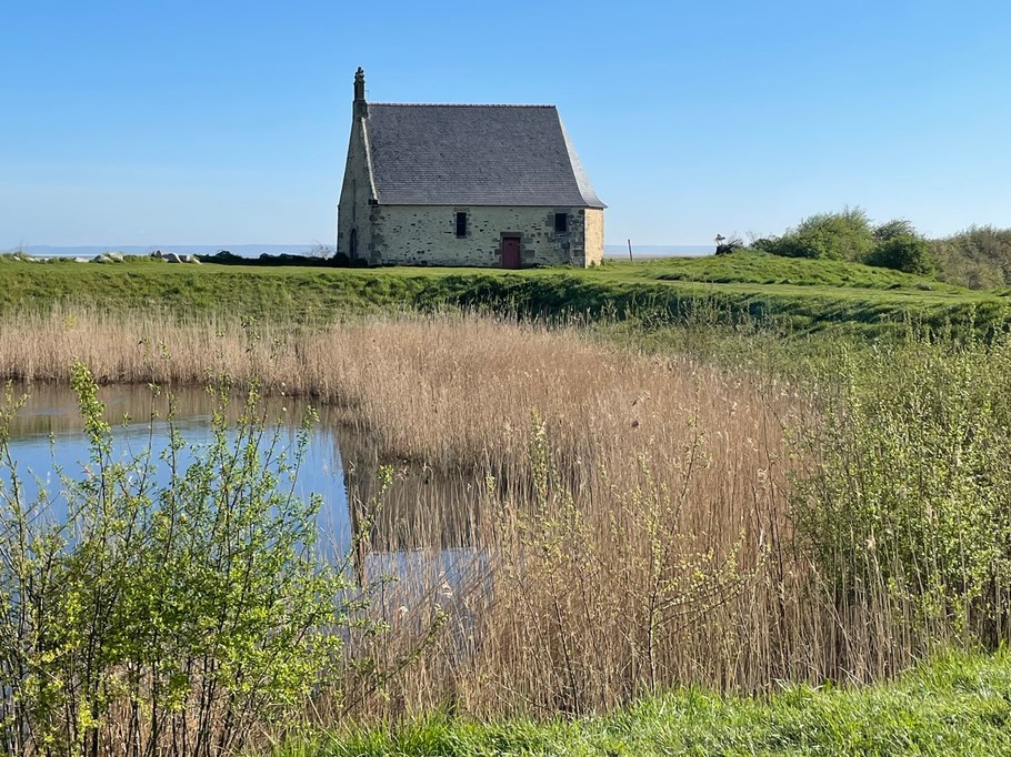 La Chapelle Sainte-Anne à Saint-Broladre