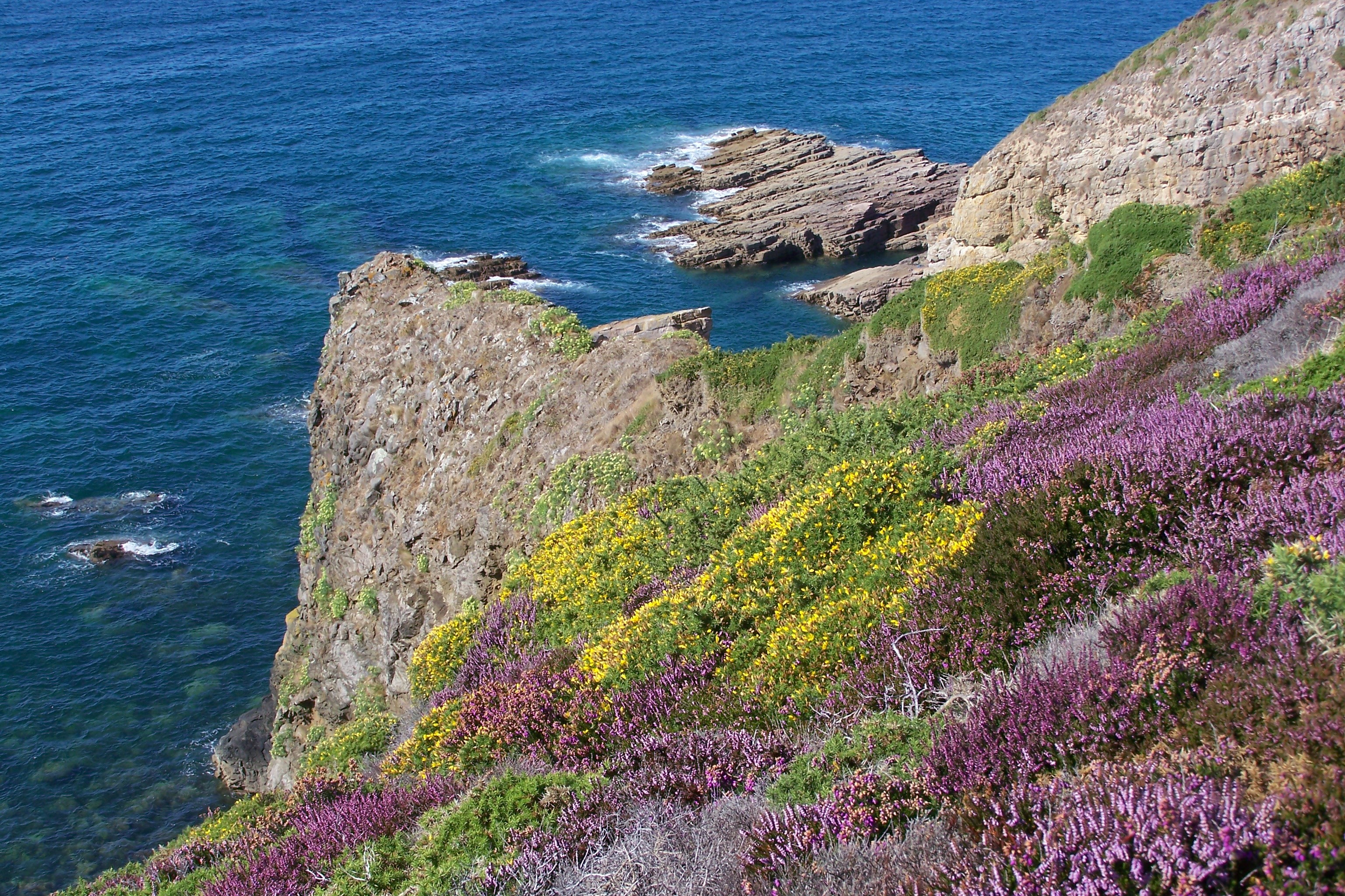 On the Cap d'Erquy