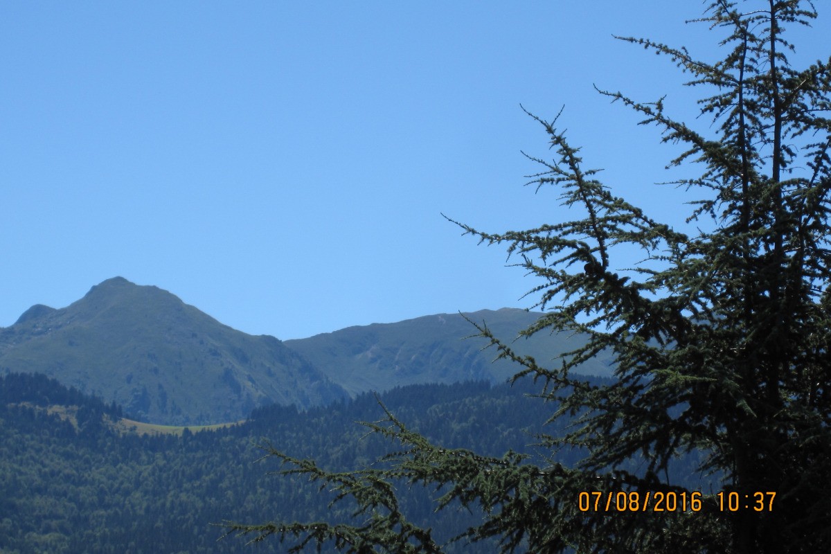 vue depuis le balcon