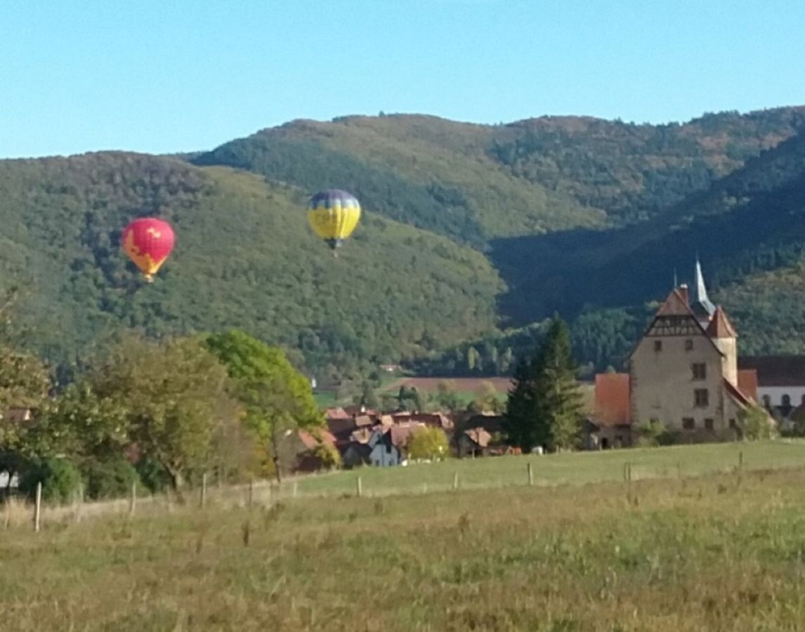 Photo n° 12 of the location