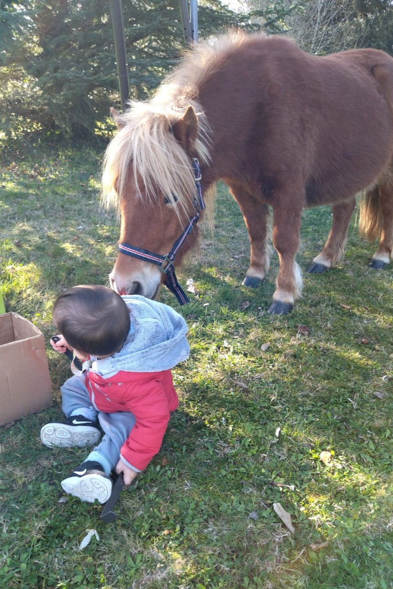 Photo n° 11 de la location