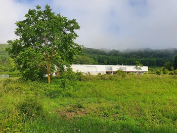 Photo n° 2 of the location