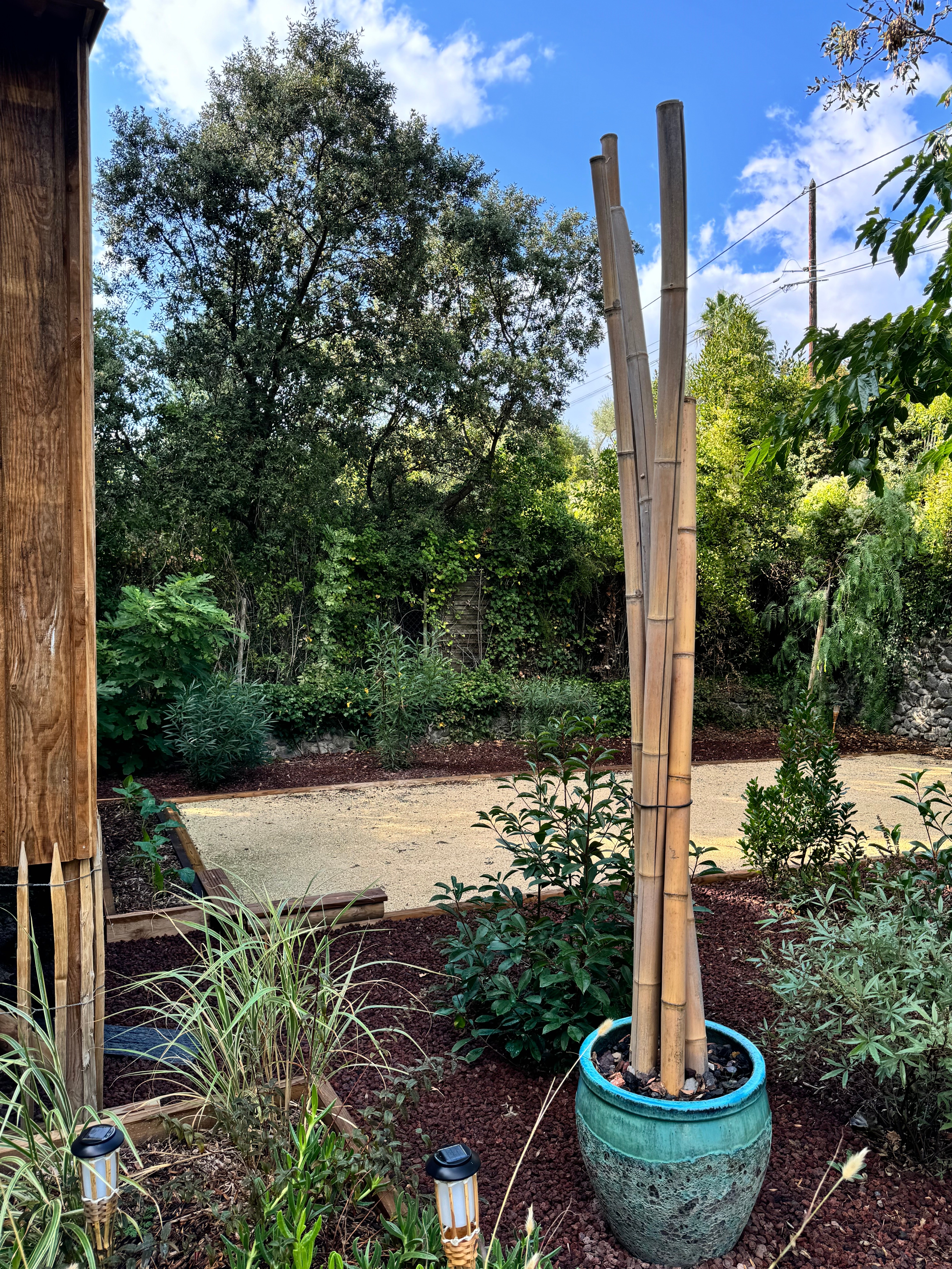 Photo n° 3 de la location